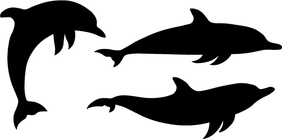 Triple Dolphins
