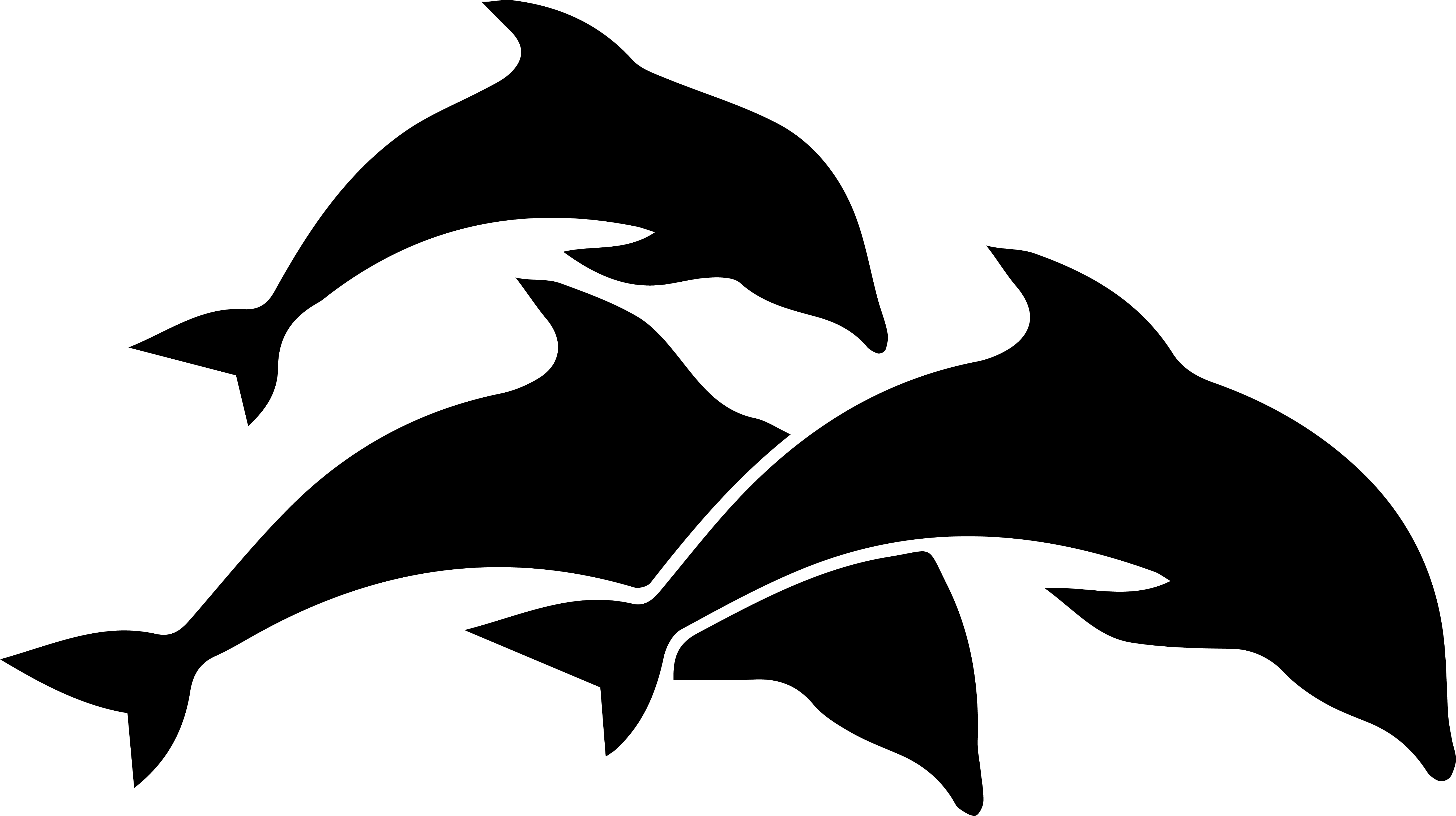 Three Dolphins